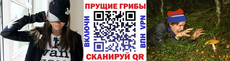 Псилоцибиновые грибы Psilocybe  это формула  Никольск 